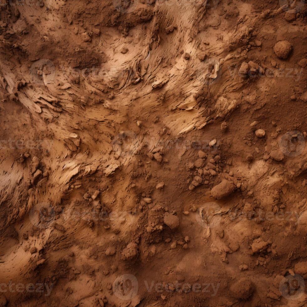 Close Up of Dirt Surface With Rocks photo