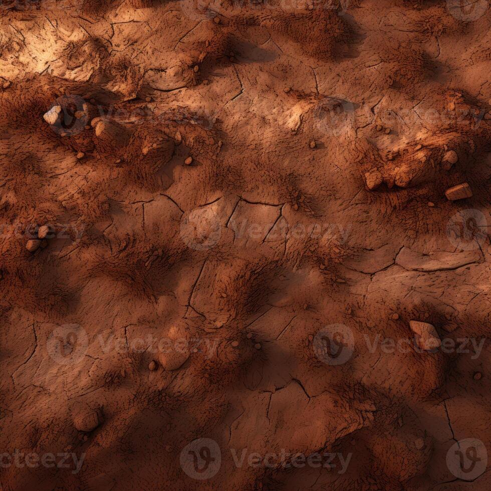 Rocky Dirt Field photo