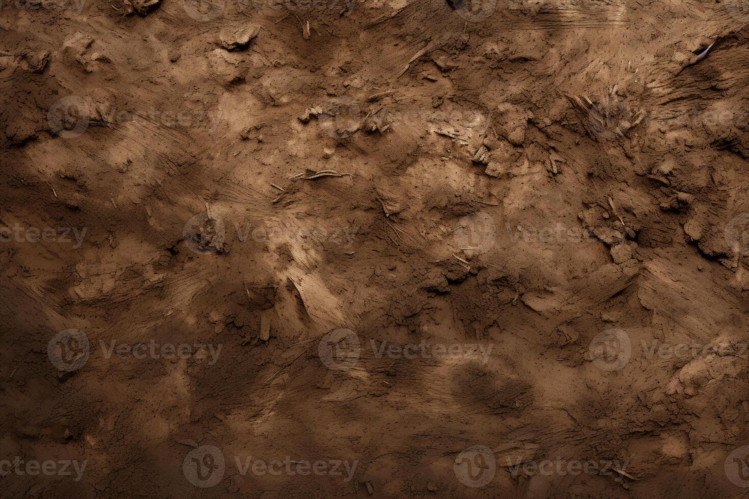 Spread-out Dirt Patches on Field photo