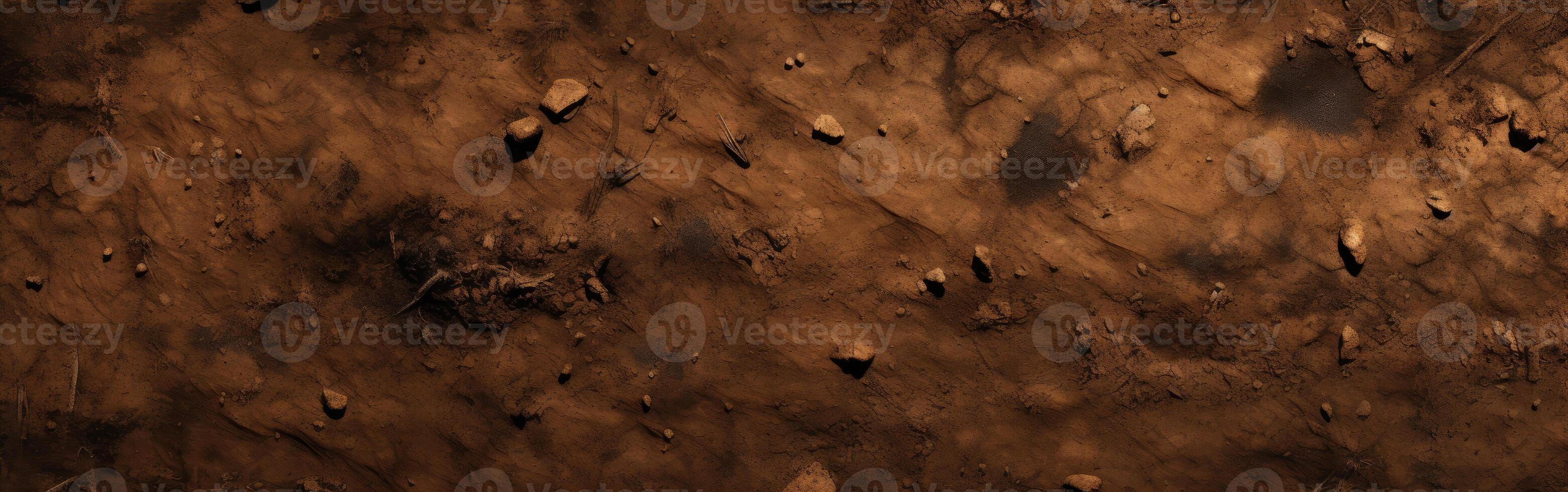 Sparse Dirt on Surface photo