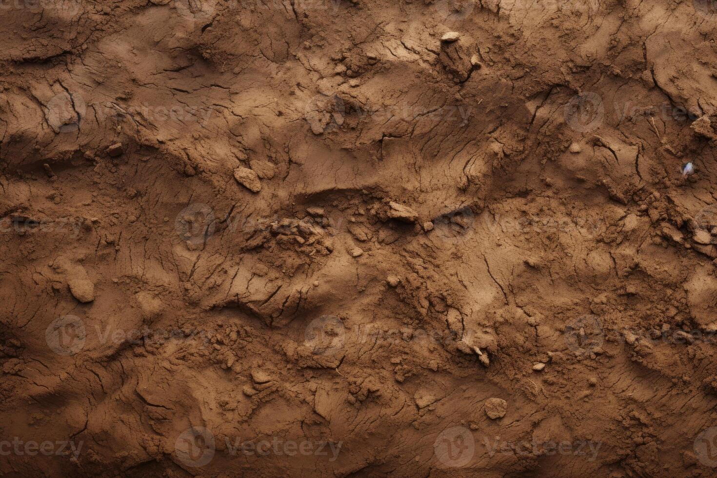 Close-Up of Dirt Surface With Rocks photo