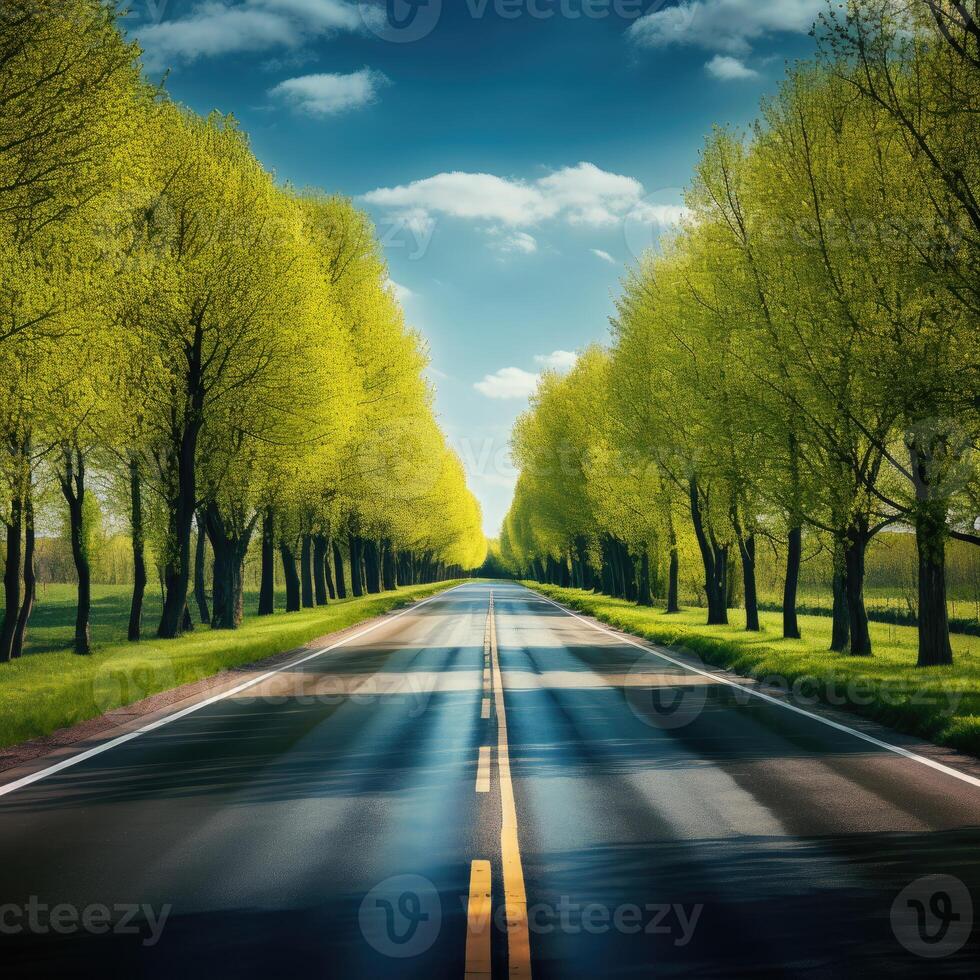 Tree-Lined Road Painting photo
