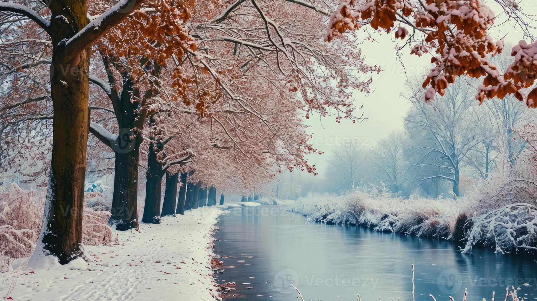 Snow-Covered Forest With a River Running Through photo