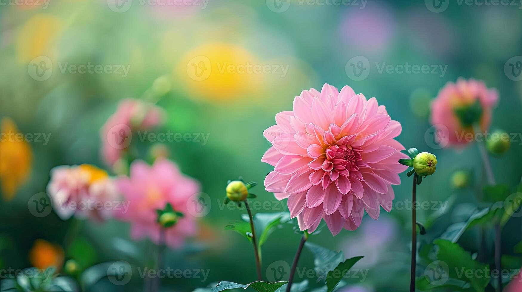 Pink Flower With Green Leaves in Foreground photo