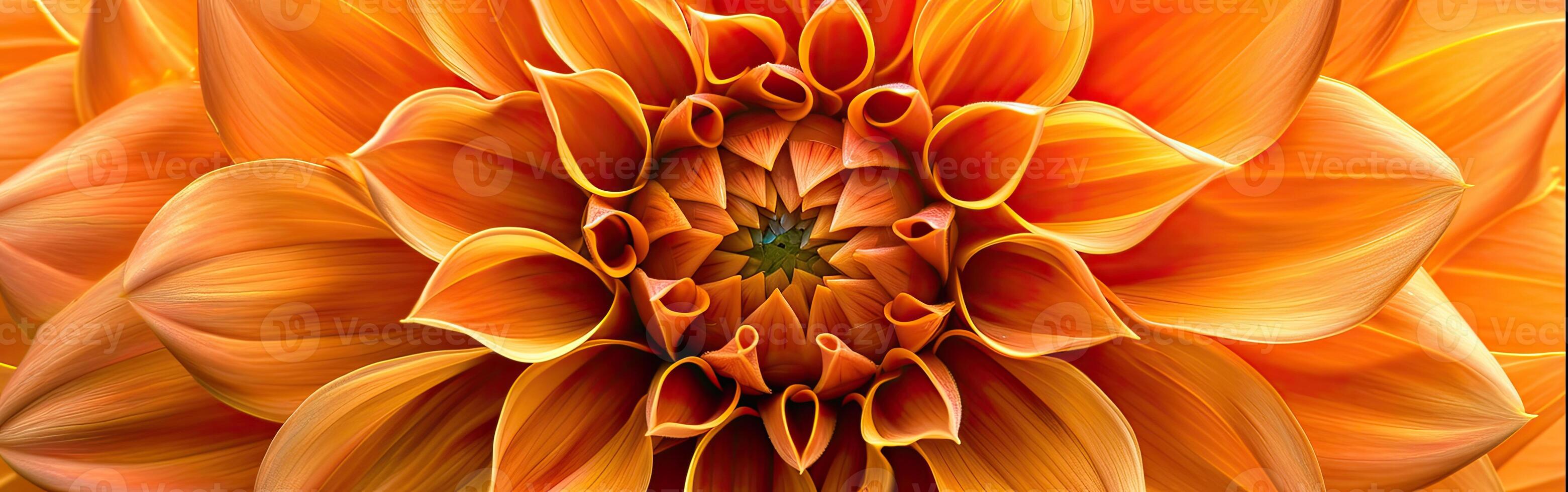 Large Orange Flower With Green Center photo