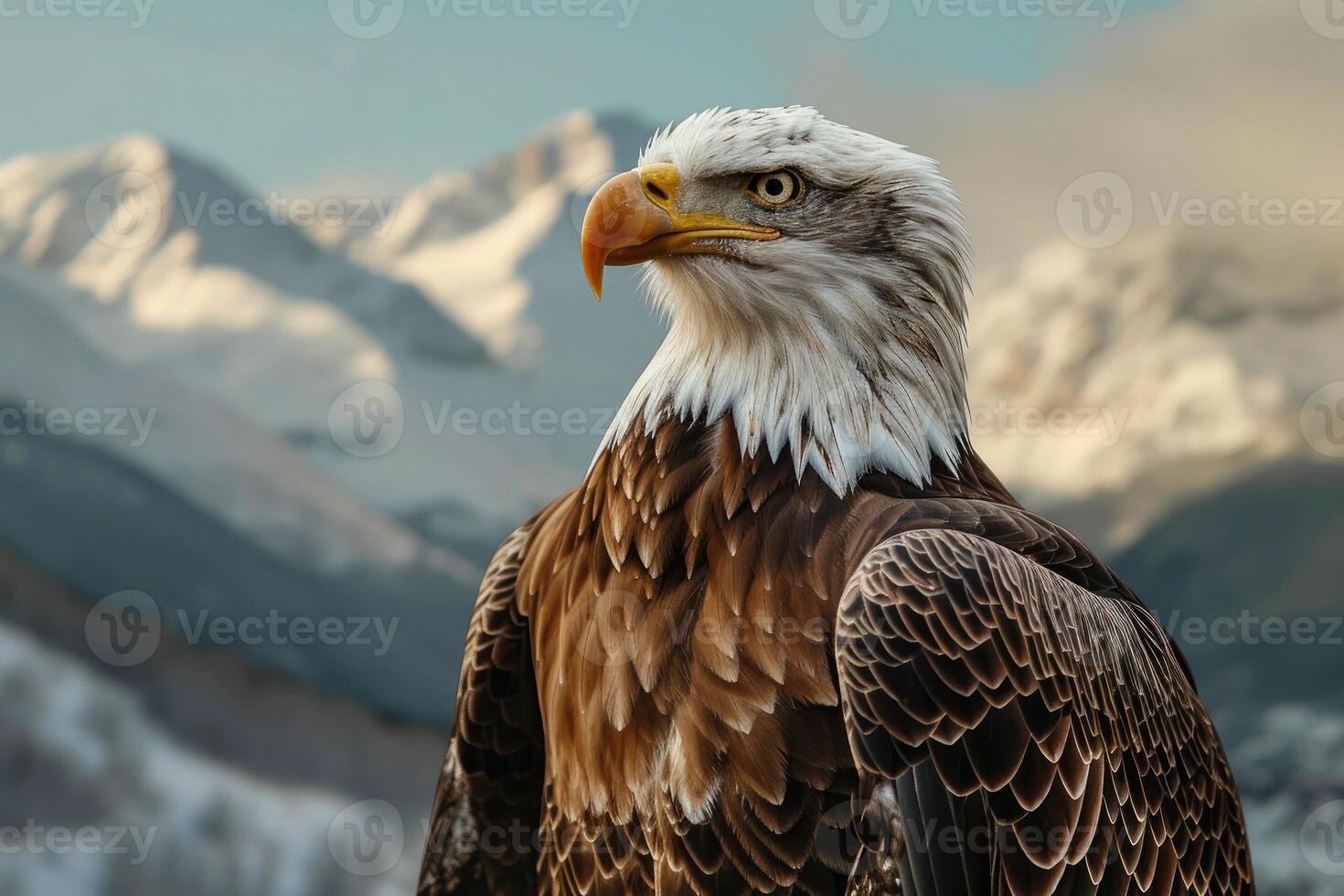 Bald Eagle Standing in Front of Mountain Range photo