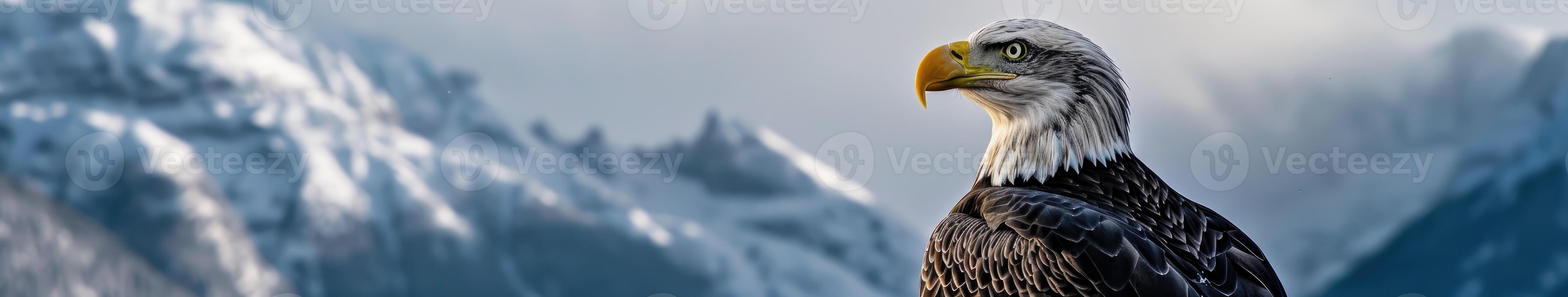 Majestic Bird Perched on Snowy Mountain photo