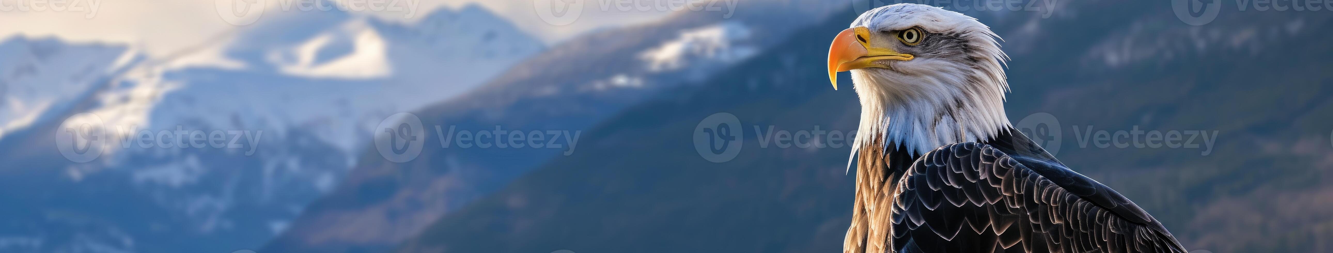 Bald Eagle Standing in Front of Mountain photo