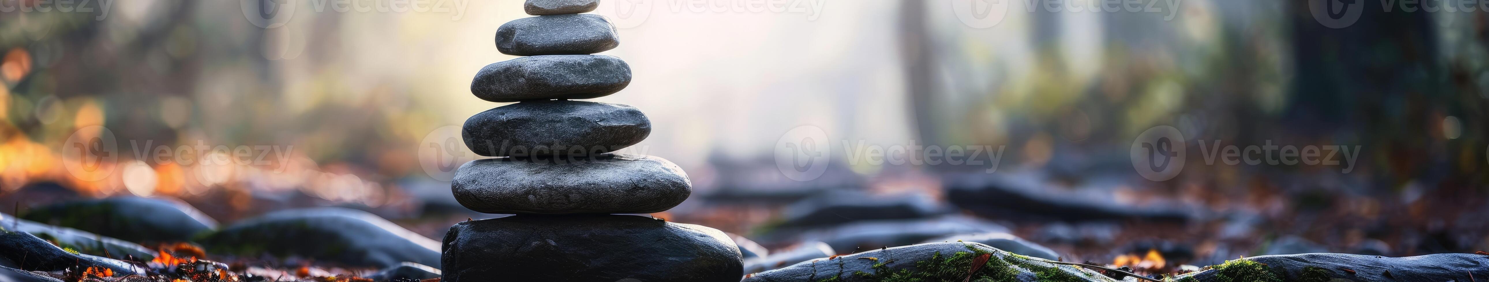 Stack of Rocks Amidst Forest photo