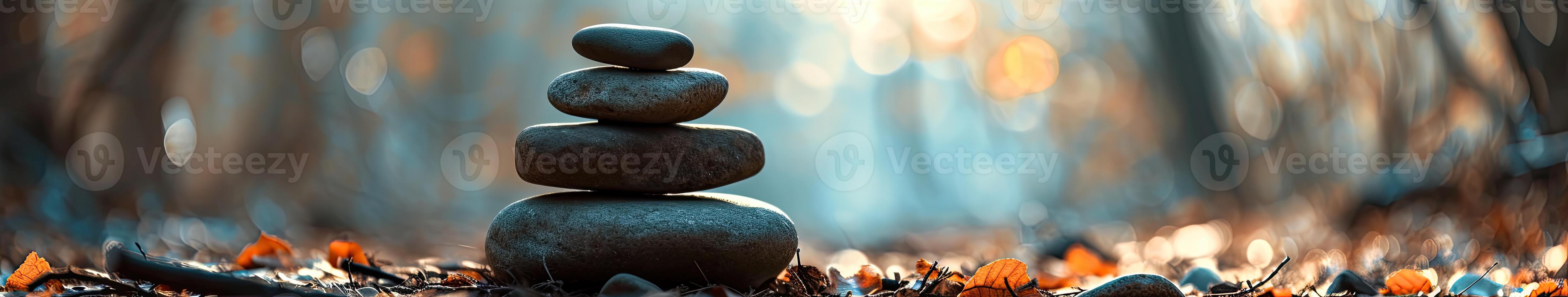 Stack of Rocks Amidst Forest photo
