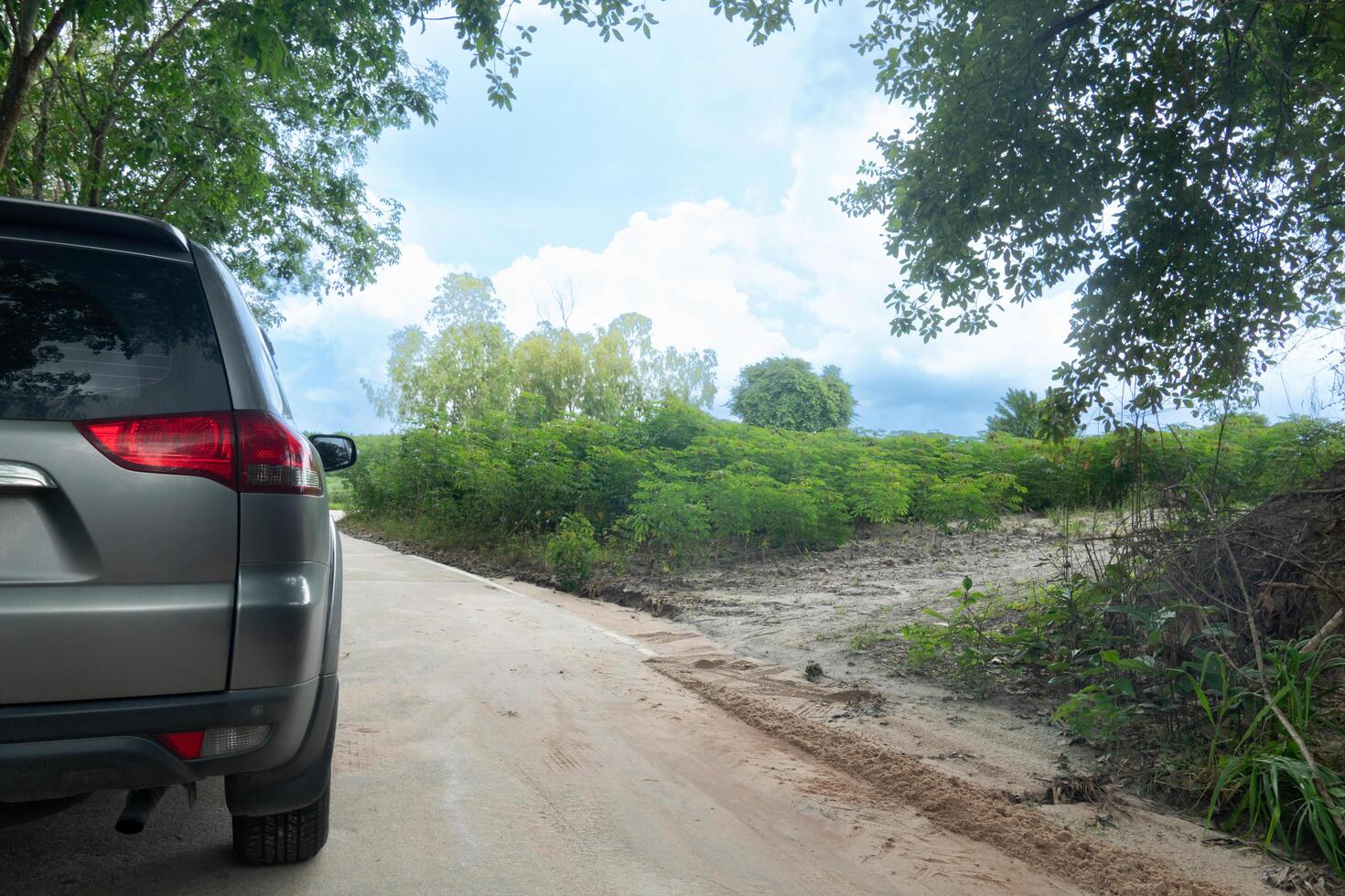 Rear side of grey car stop on the road. Car driving on concrete road in the contryside. Beside with nature of green trees. with the bright sunshine time. photo