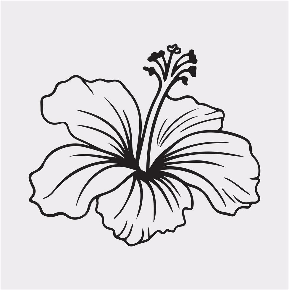hibiscus flower line art silhouette on white background vector