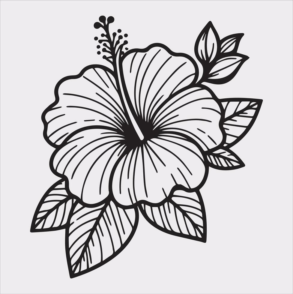 hibiscus flower line art silhouette on white background vector