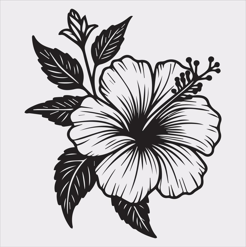 hibiscus flower line art silhouette on white background vector