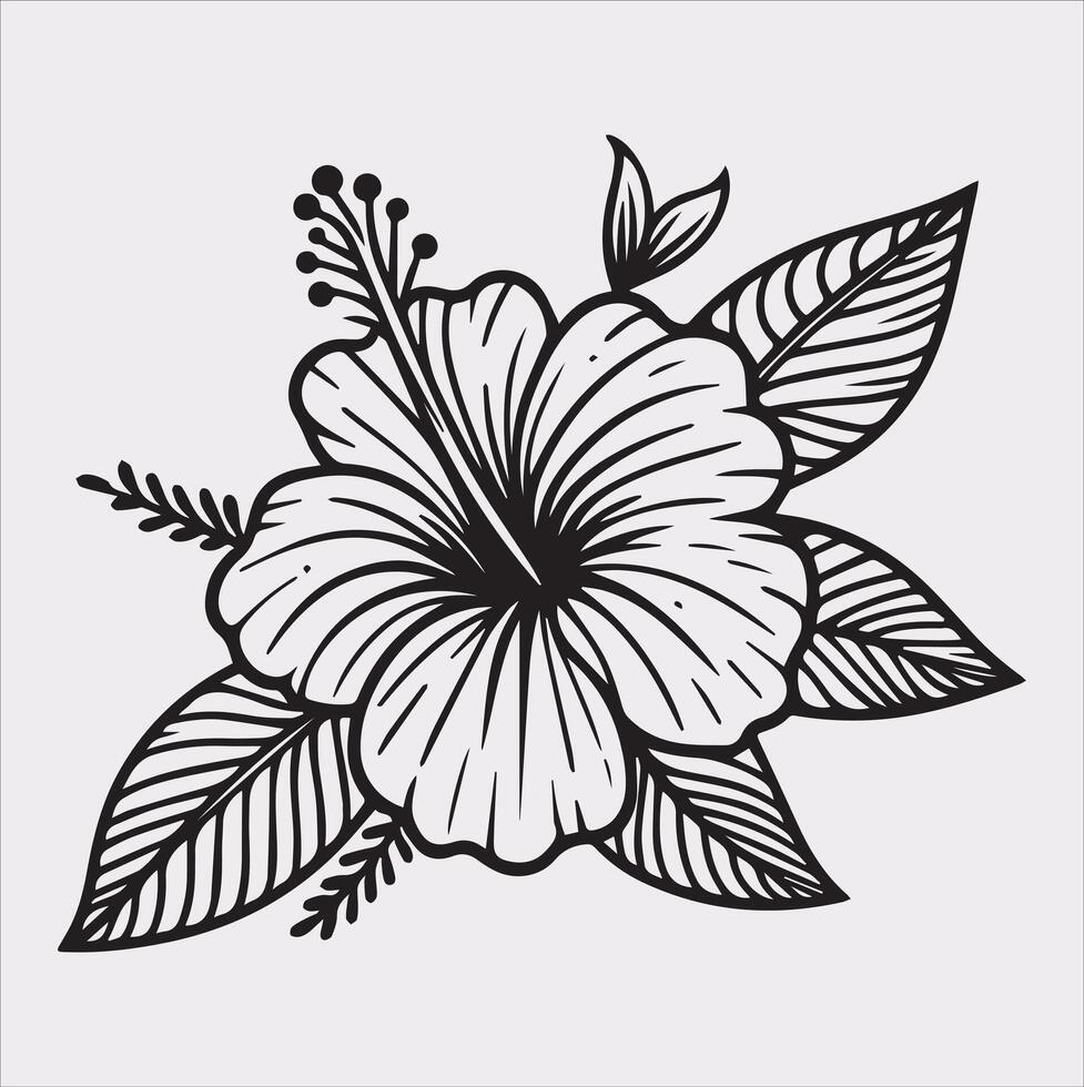 hibiscus flower line art silhouette on white background vector