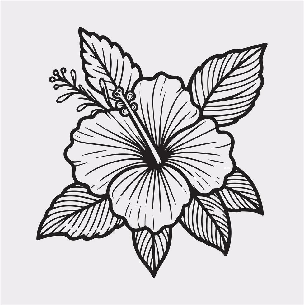 hibiscus flower line art silhouette on white background vector
