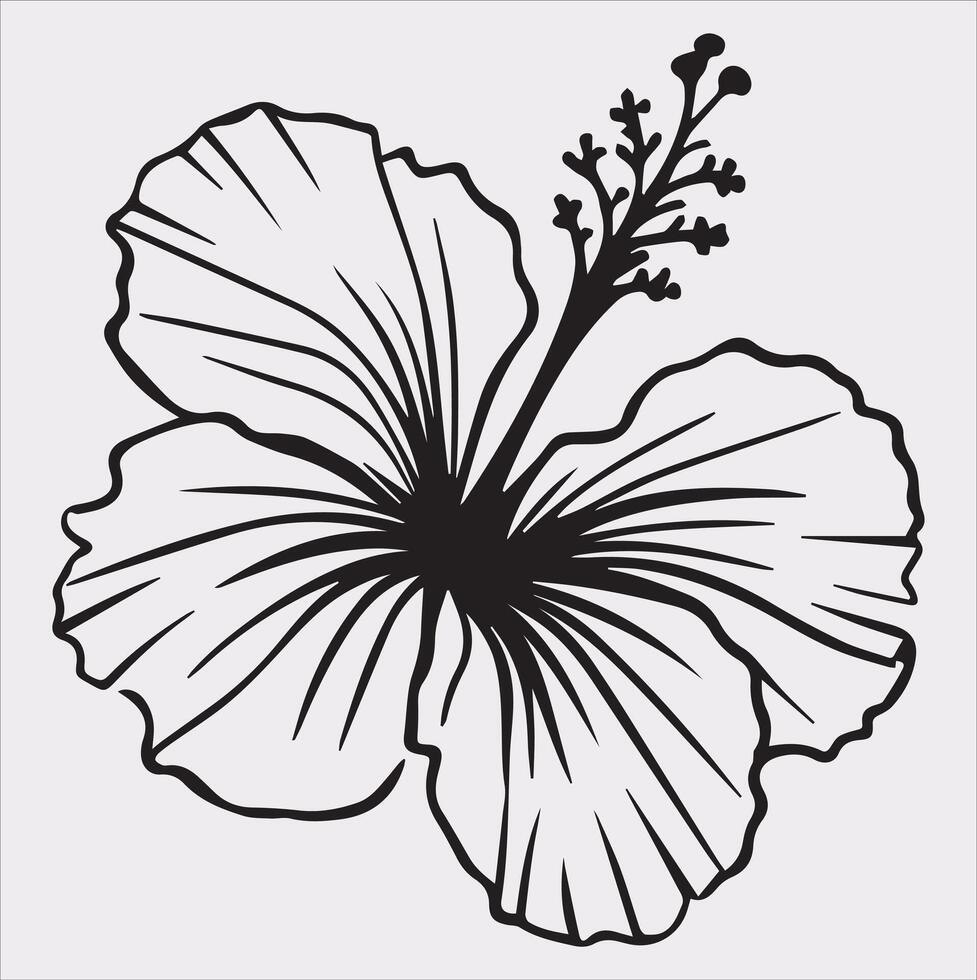 hibiscus flower line art silhouette on white background vector