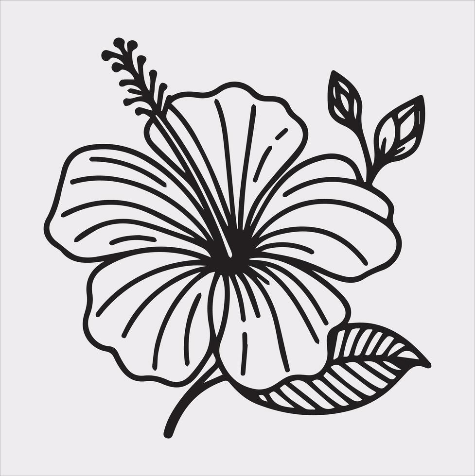 hibiscus flower line art silhouette on white background vector