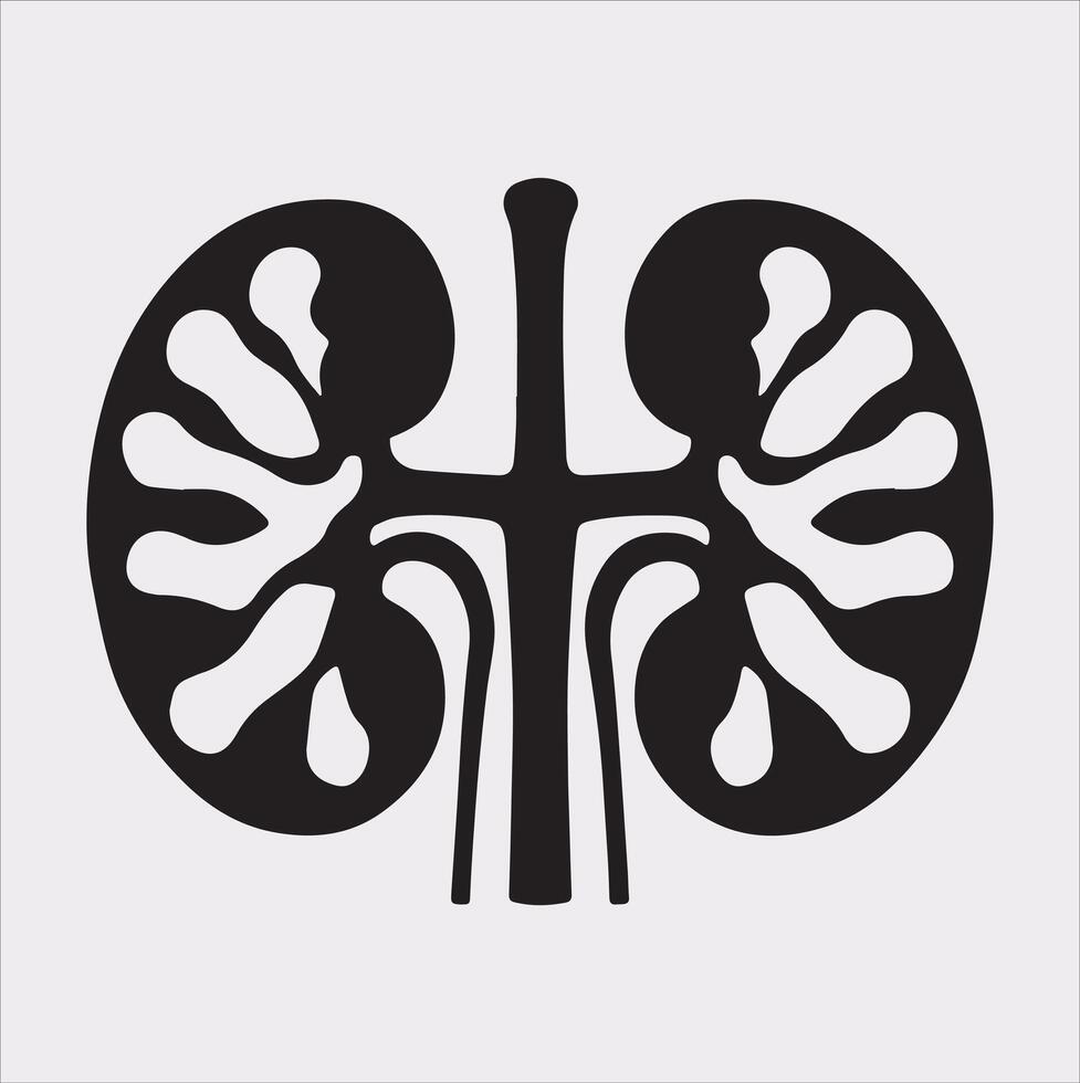 kidney silhouette on white background vector
