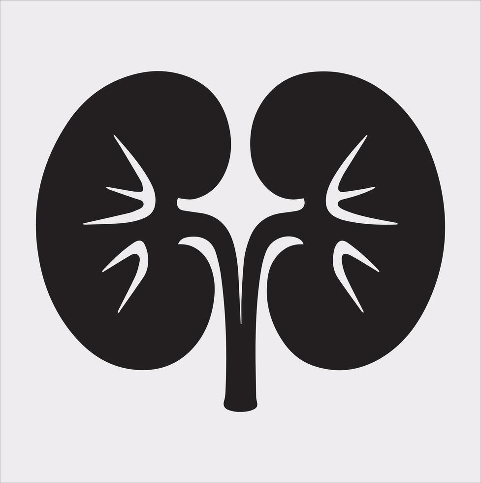 kidney silhouette on white background vector