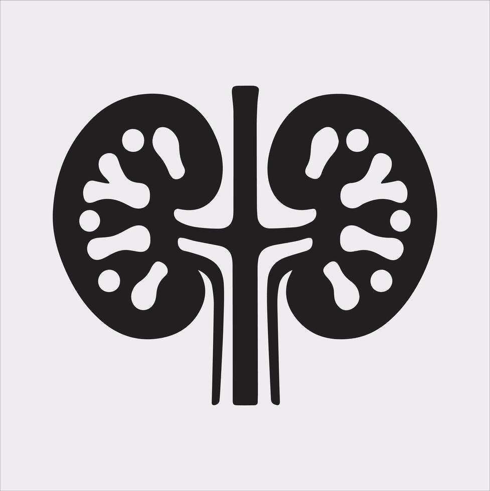 kidney silhouette on white background vector