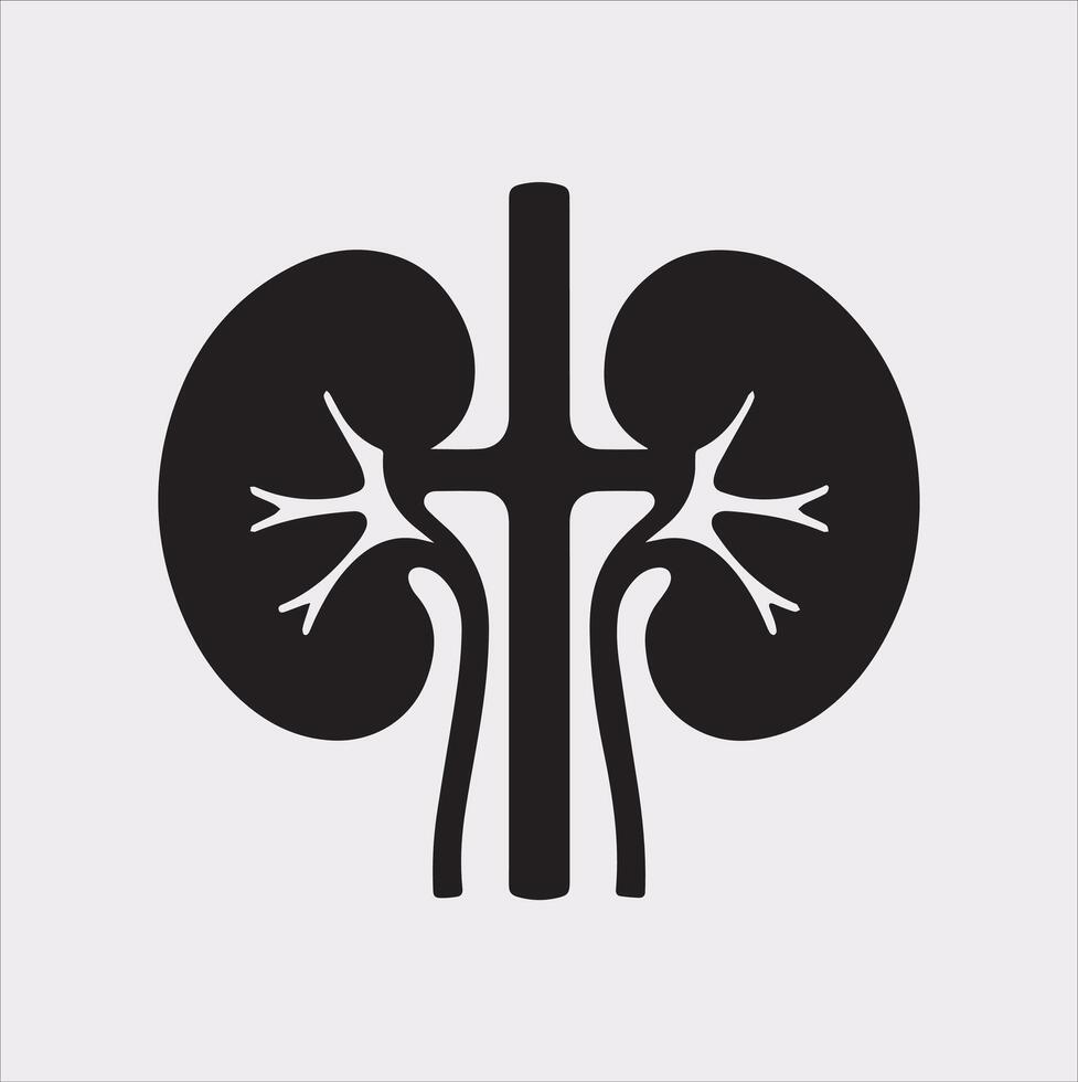 kidney silhouette on white background vector