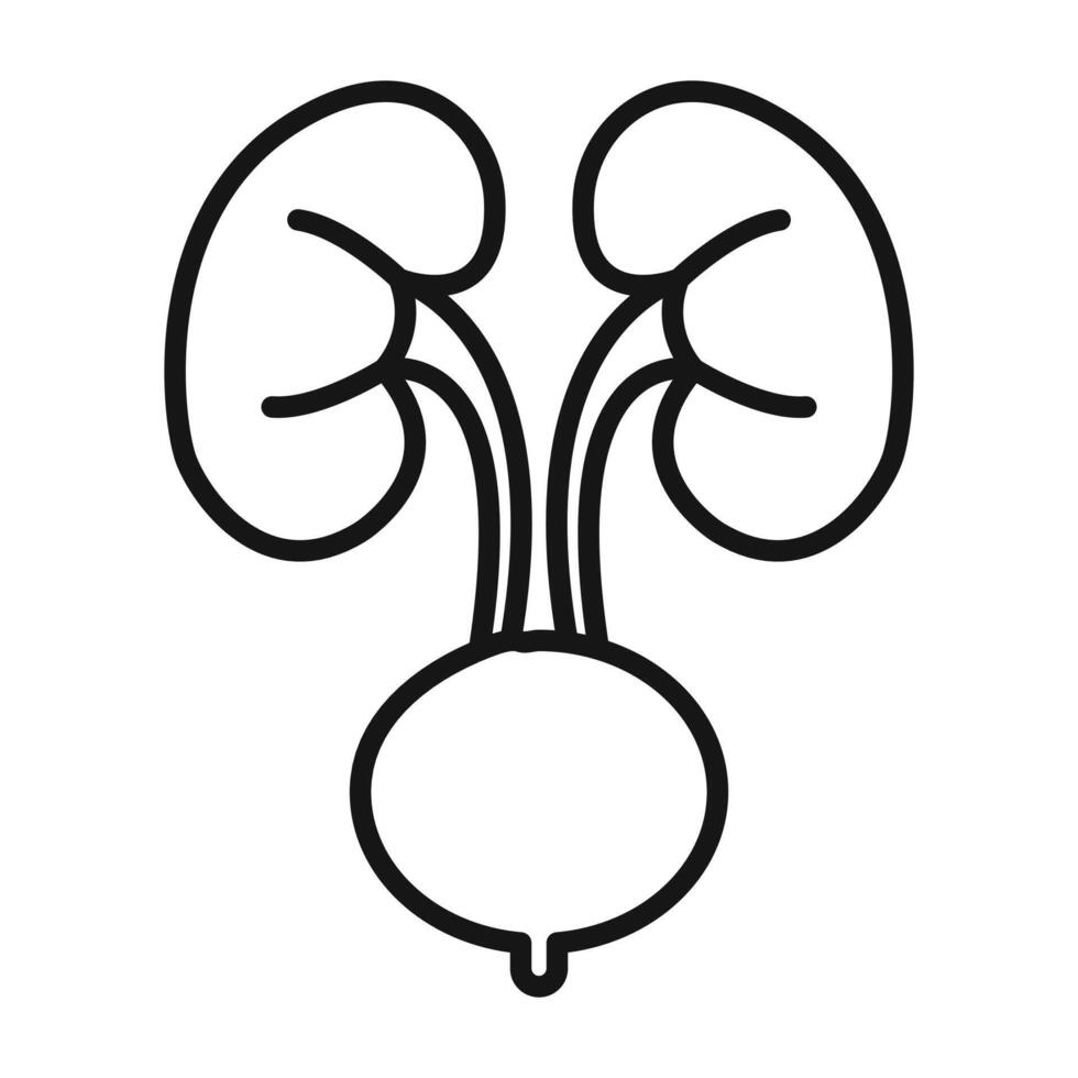 Urinary system icon Black line art logo vector