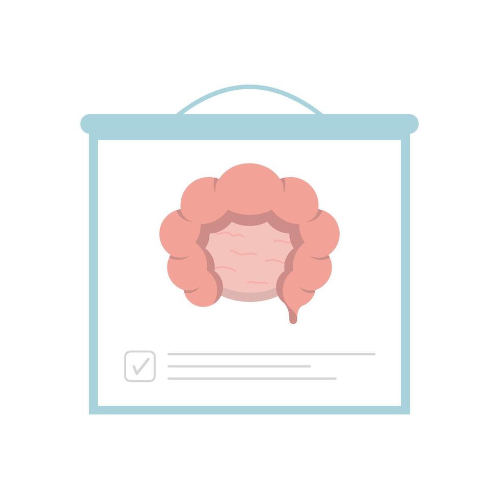 Human organs intestines and stomach infographics, cartoon illustration icons for medical and healthcare and wellness vector