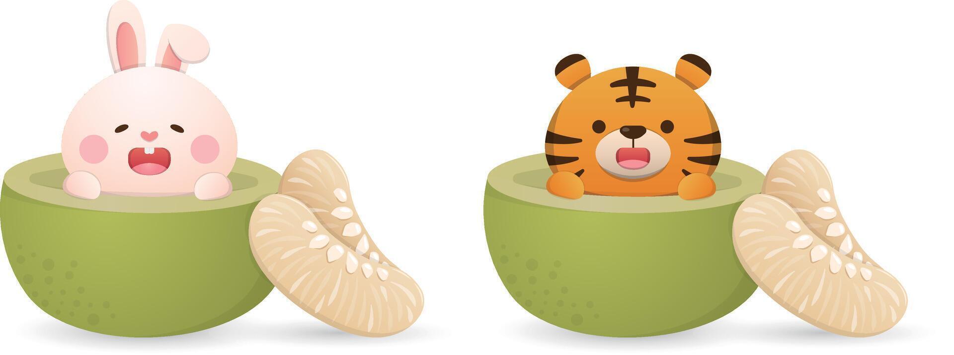 Rabbit and tiger mascot characters and mid autumn festival fruit pomelo, cute and playful cute, cartoon style vector