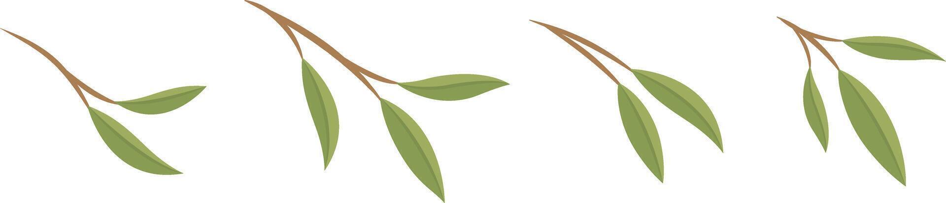 Set of green leaves and branches or bamboo leaves, illustration in cartoon style vector