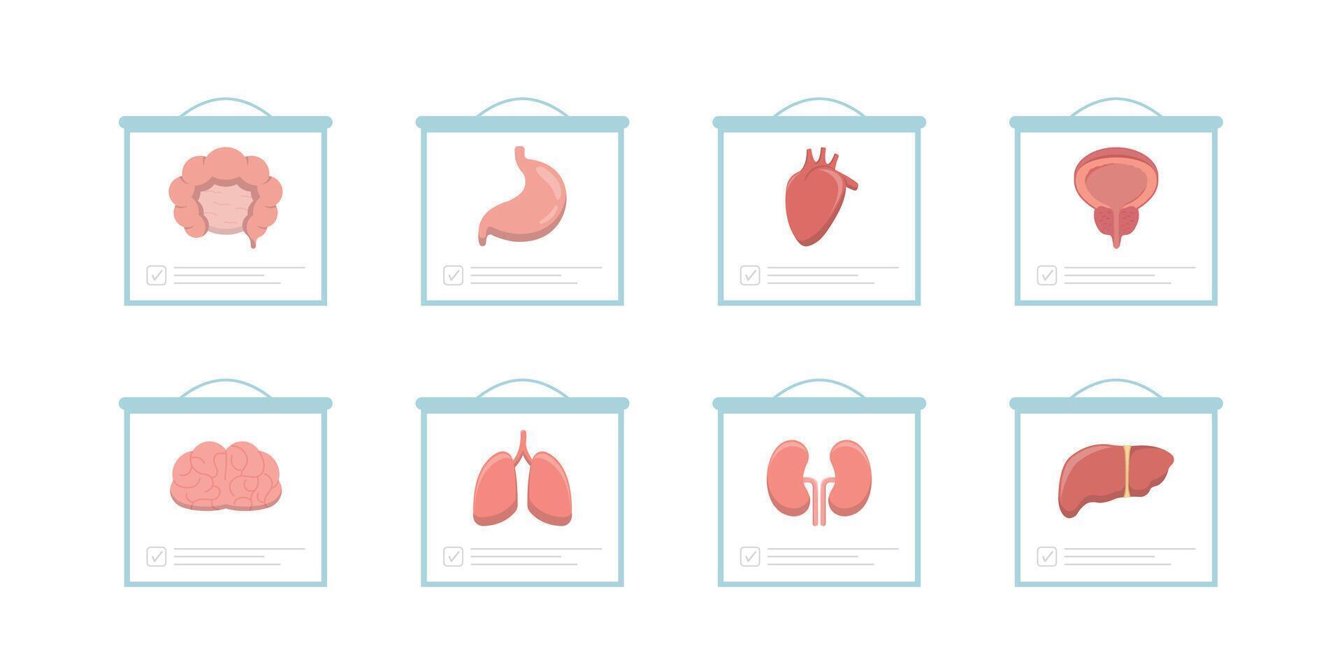 8 Human Organs Heart, Large Intestine, Intestine, Stomach, Brain, Bladder, Prostate, Kidney, Lung, Liver, Clipboard with Infographics vector