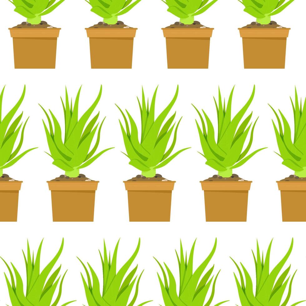 Seamless pattern of aloe vera in pot vector