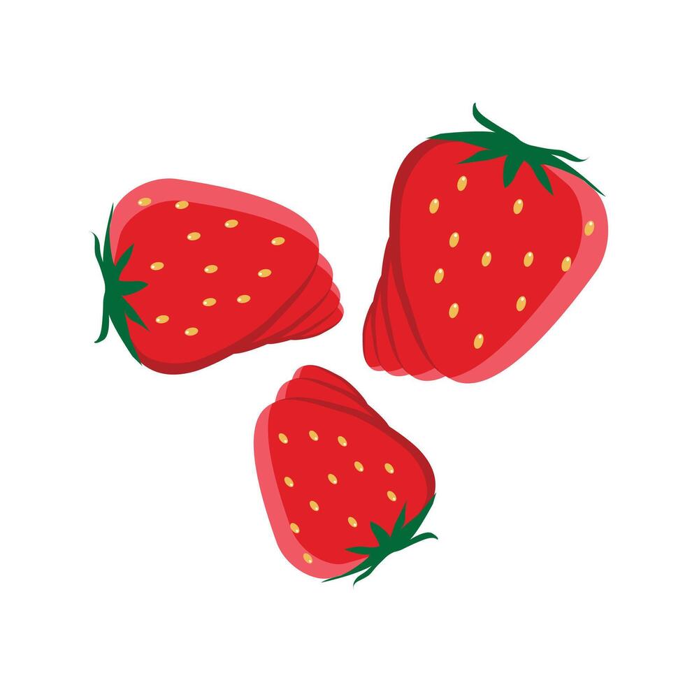 strawberry fresh fruit with flat design illustration vector