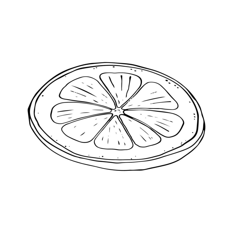 Lemon fresh juice mint summer hand drawn scribble doodle line art sketch illustration vector