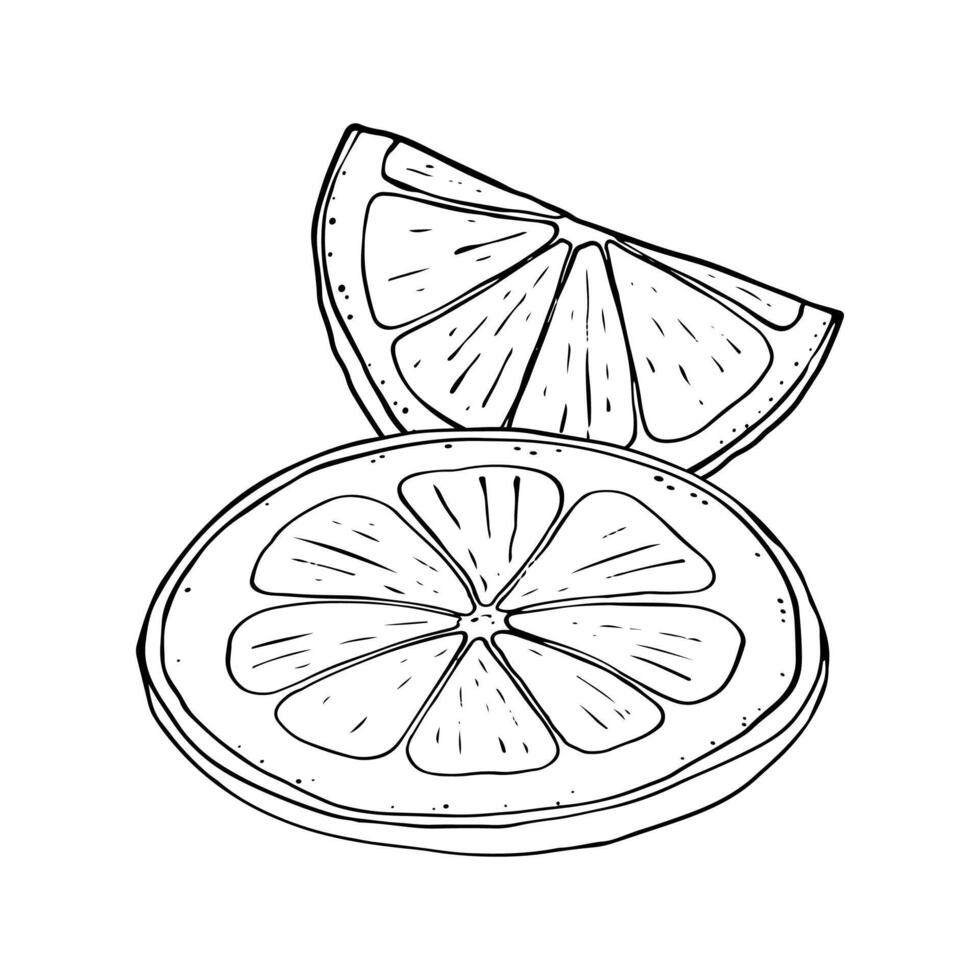 Lemon fresh juice mint summer hand drawn scribble doodle line art sketch illustration vector