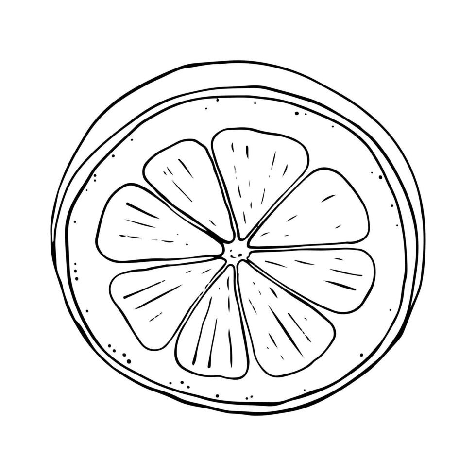 Lemon fresh juice mint summer hand drawn scribble doodle line art sketch illustration vector
