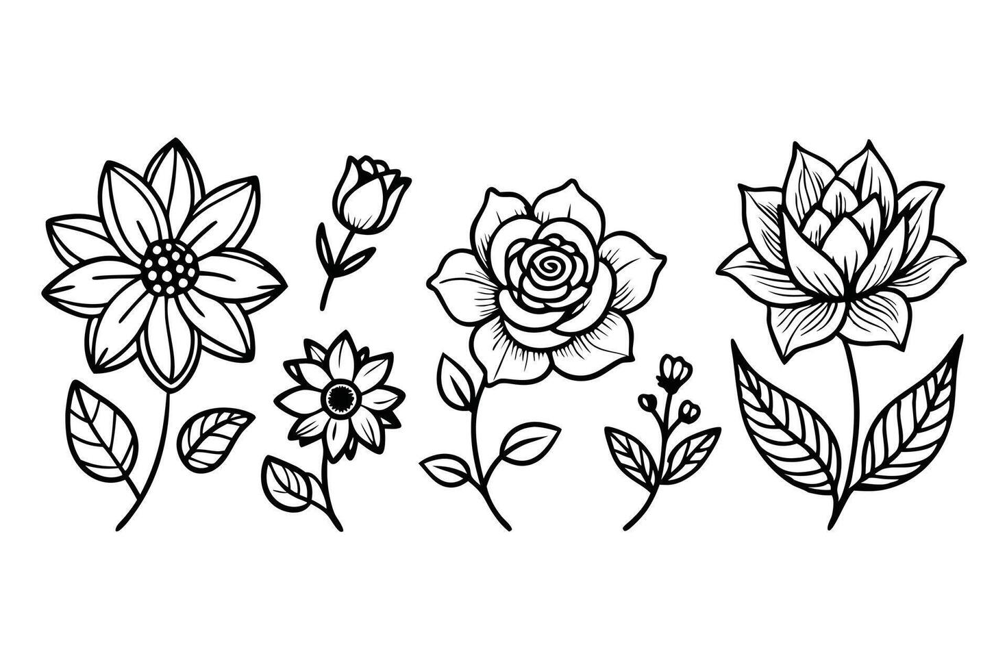 Elegant Set of hand draw silhouette flower Line Art . vector