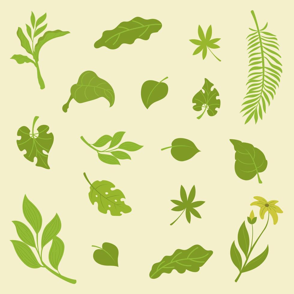 Green tropical leaf vector