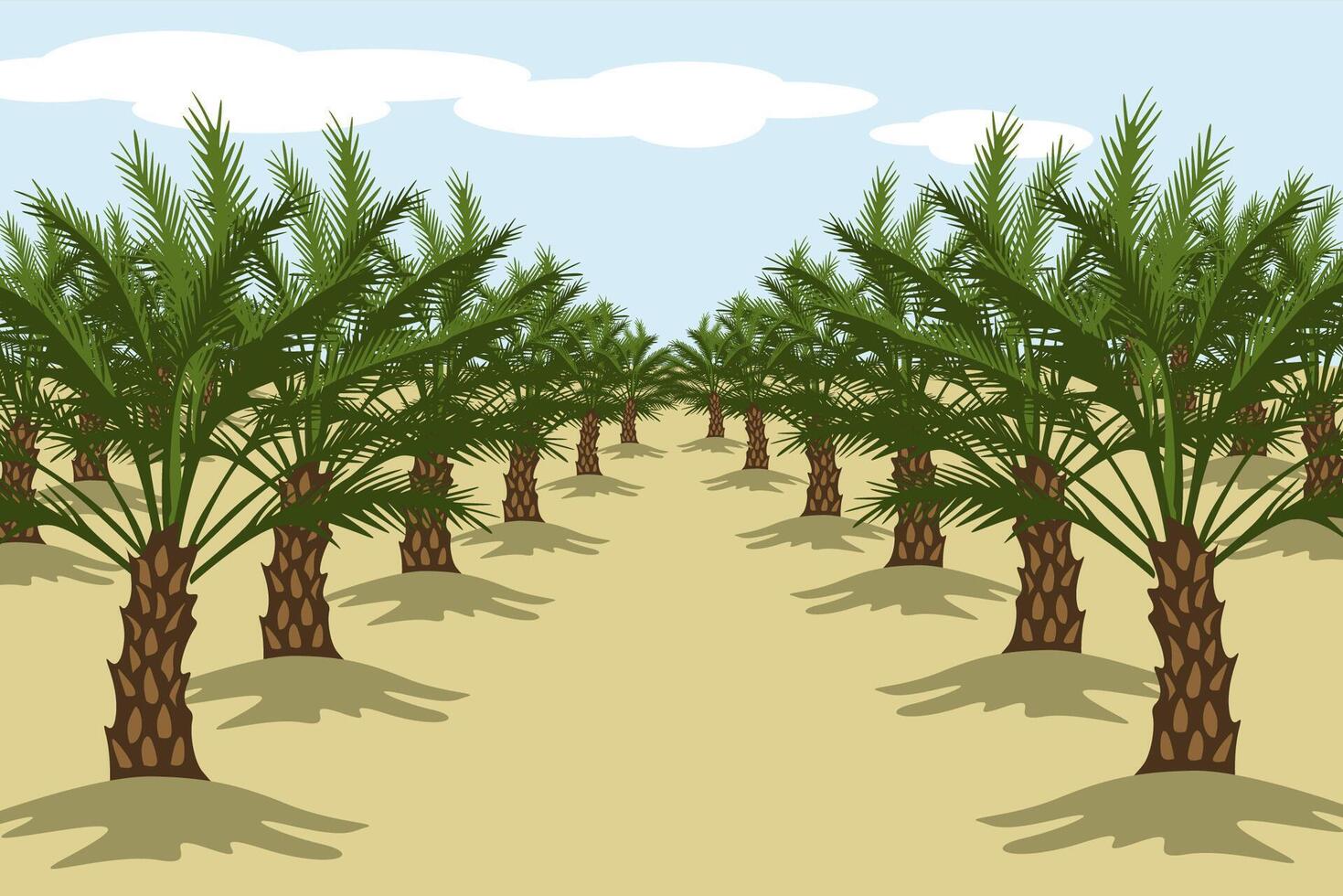 Date palm tree farm illustration vector