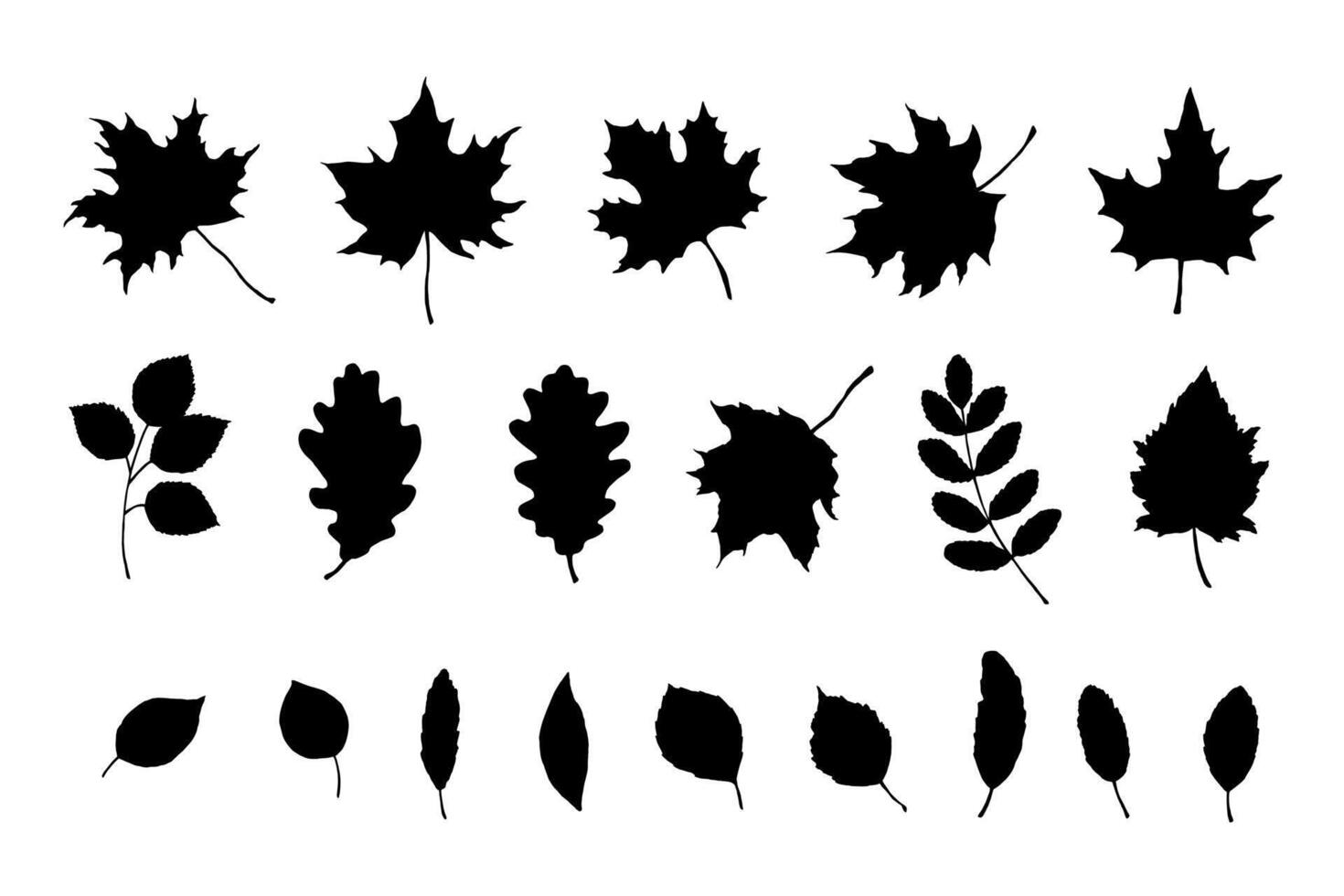 Maple, birch tree and oak leaves silhouette set. Hand drawn fall illustrations vector