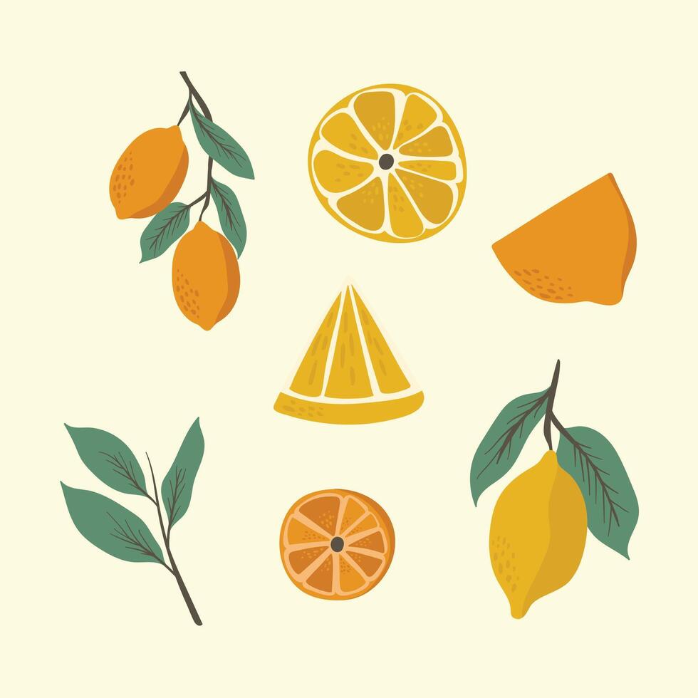 Lemon Various Illustration vector
