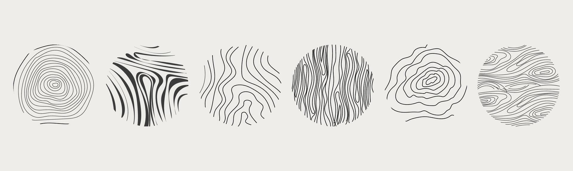 Wood texture material doodle hand drawn line. Tree trunk geometric curve and wave contour. Rings and circles. vector