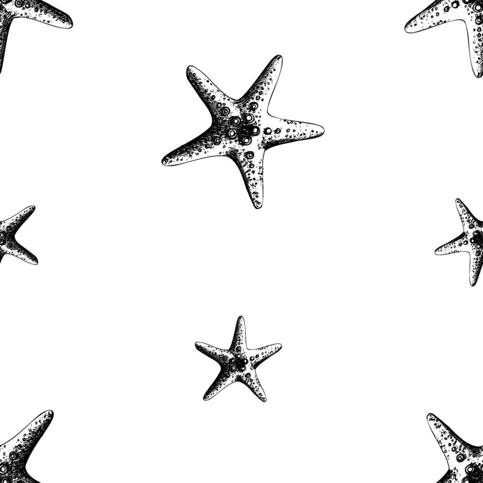 Textured five-pointed starfish. Marine illustration of the underwater world hand drawn in black ink graphically. seamless pattern, pattern, ornament, simple in EPS. vector