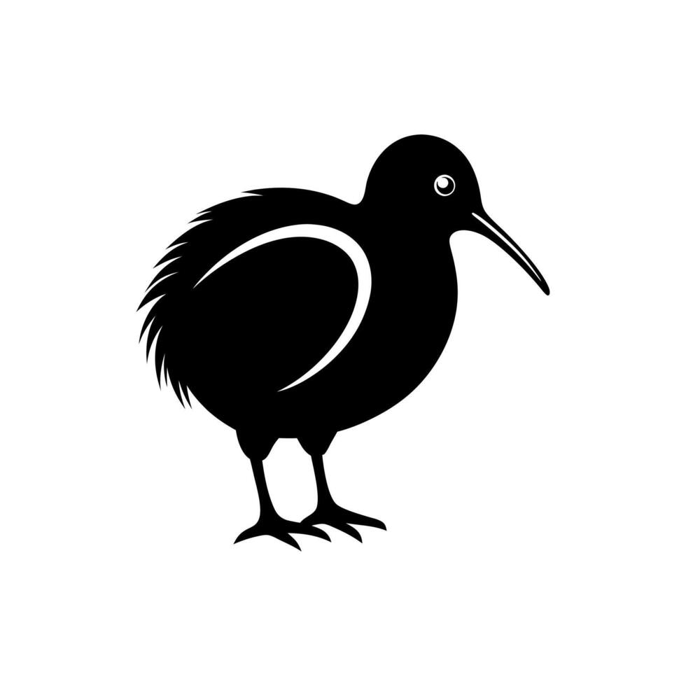 kiwi bird hand drawn vintage illustration, black and white engrave isolated Kiwi bird illustration Stock vector