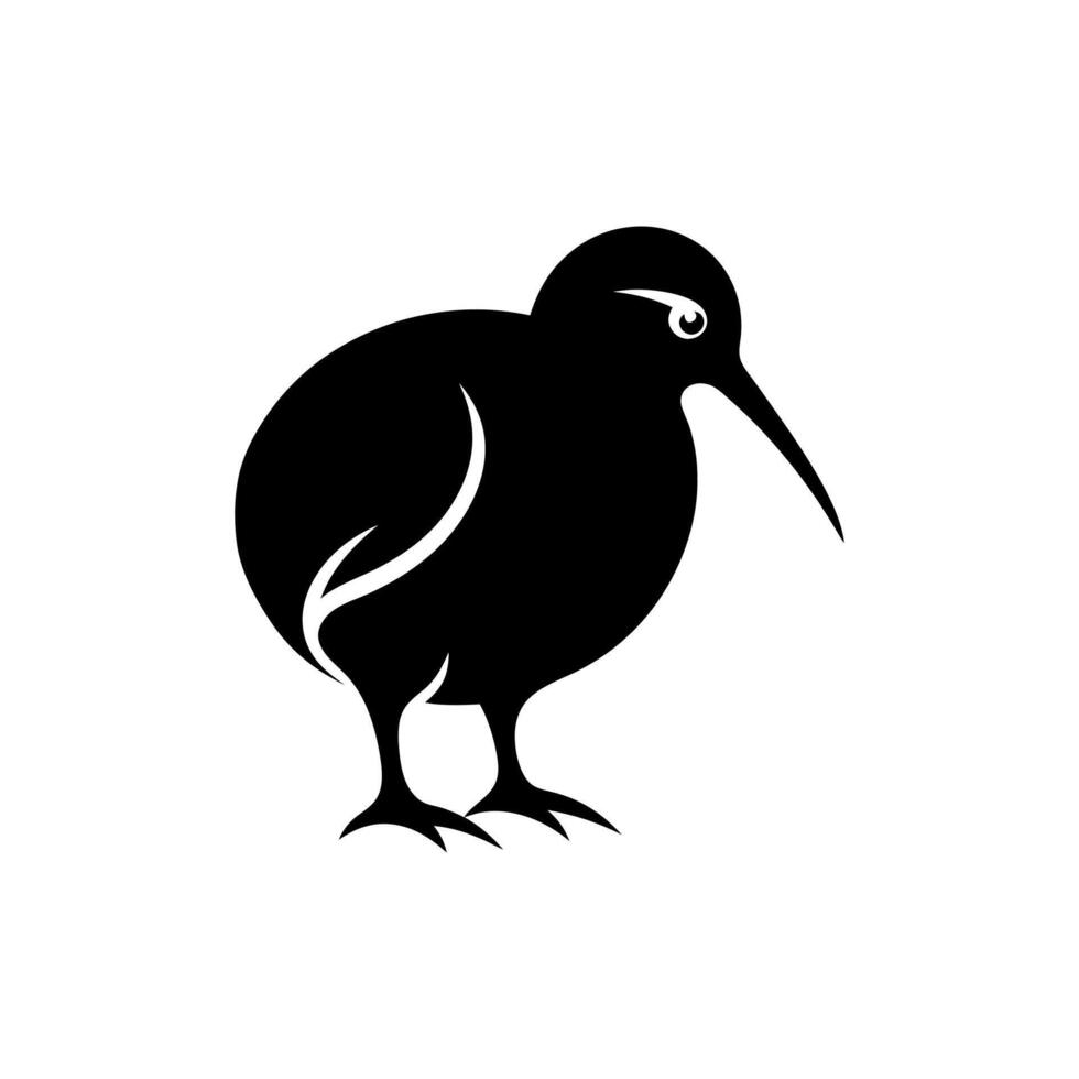 kiwi bird hand drawn vintage illustration, black and white engrave isolated Kiwi bird illustration Stock vector