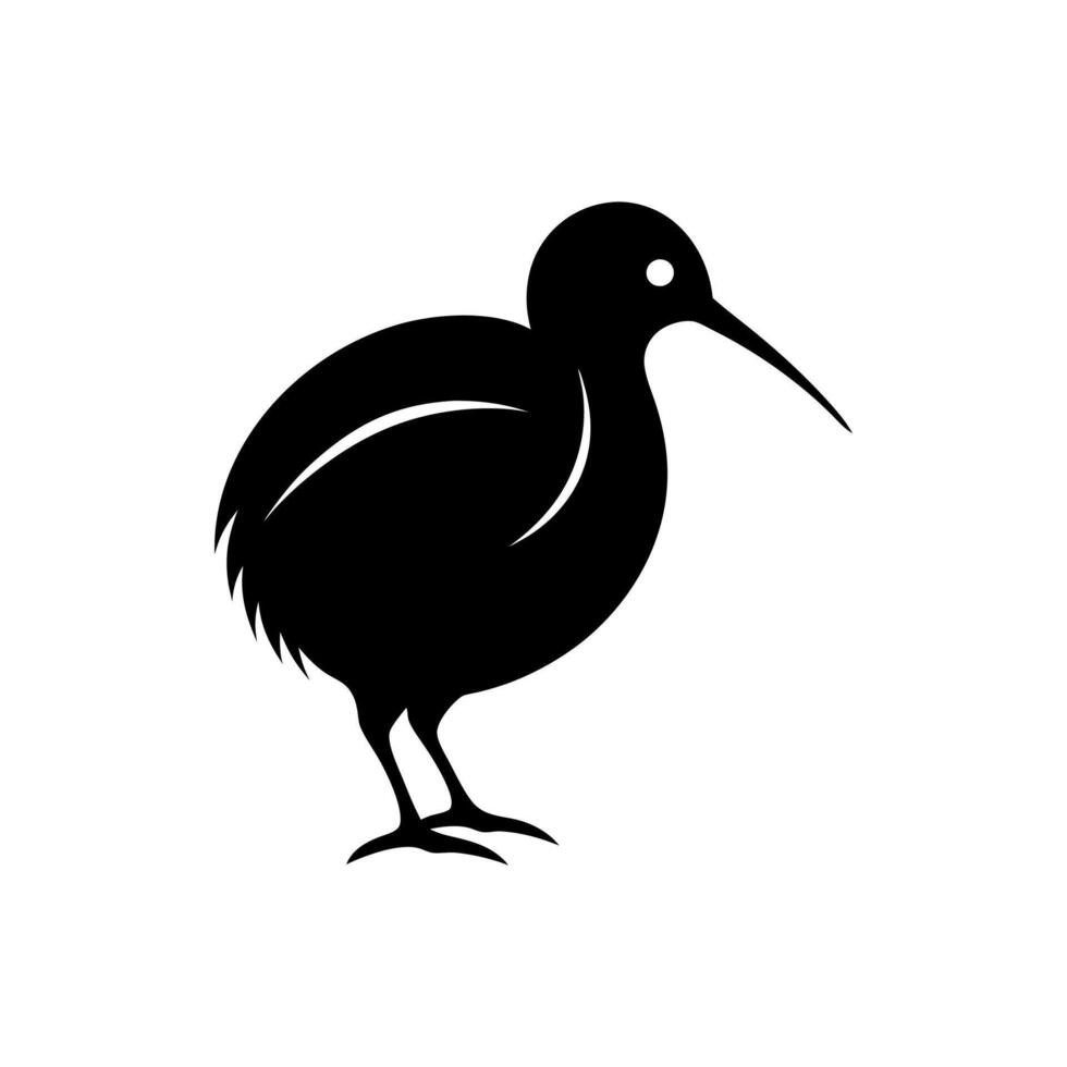 kiwi bird hand drawn vintage illustration, black and white engrave isolated Kiwi bird illustration Stock vector