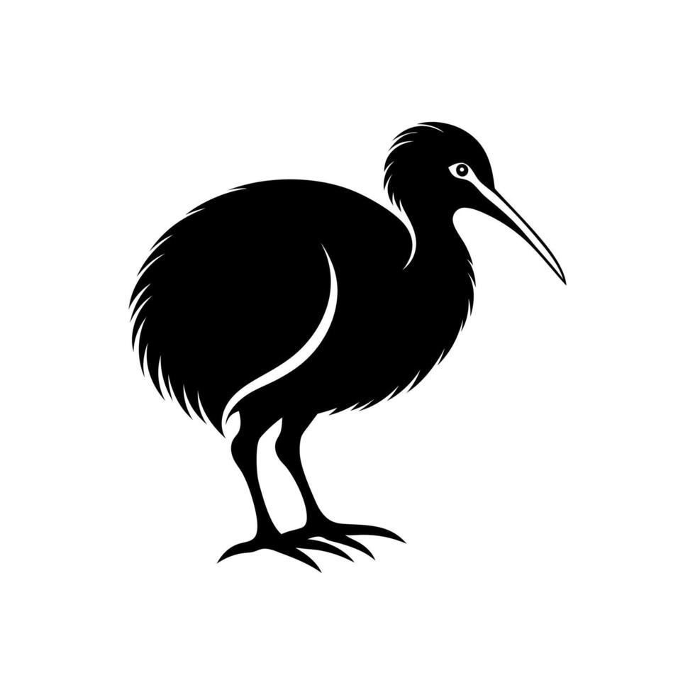 kiwi bird hand drawn vintage illustration, black and white engrave isolated Kiwi bird illustration Stock vector