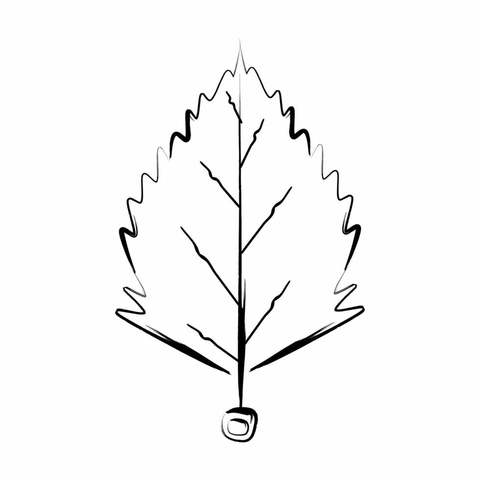 an autumn leaf is drawn in black and white on a white background vector