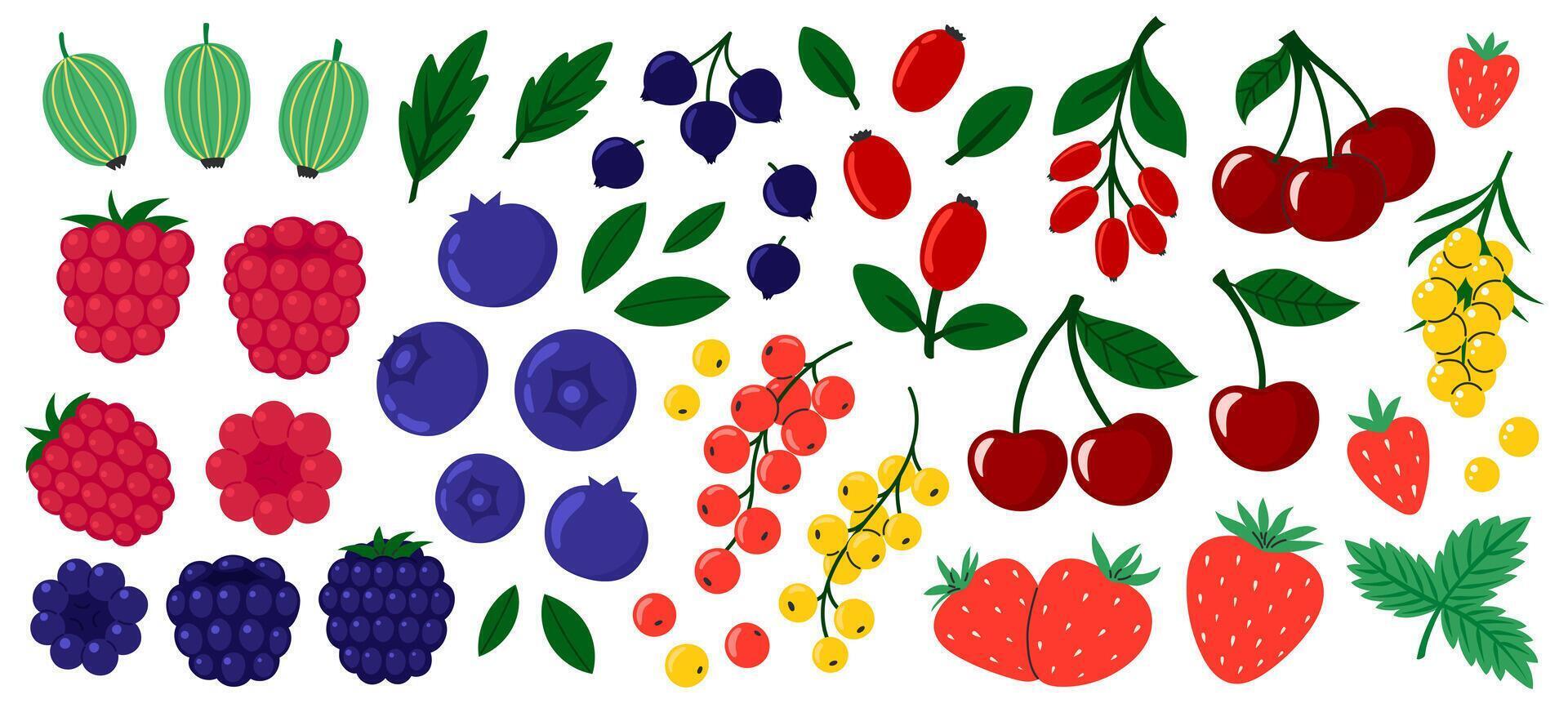 Berries set. Cherry, black currant, raspberry, gooseberry, blueberry, blackberry, strawberry, barberry, sea buckthorn. Fresh summer juicy berry. Flat illustration isolated on white background vector