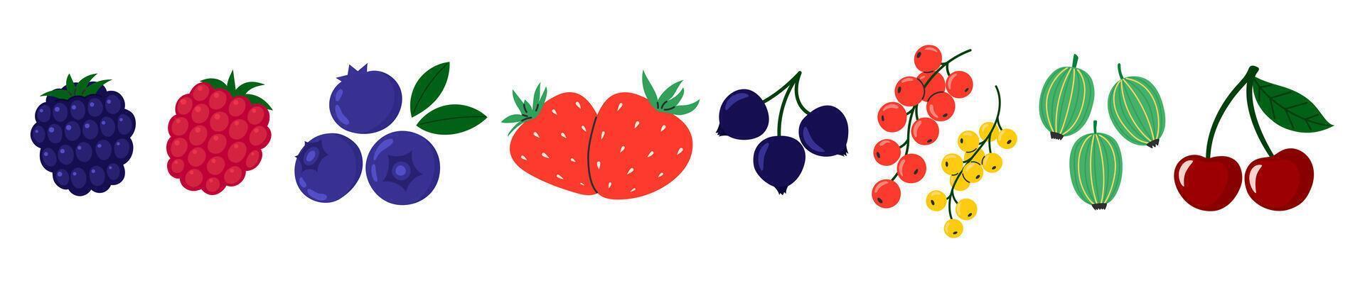Berries set. Cherry, black currant, raspberry, gooseberry, blueberry, blackberry, strawberry. Fresh summer juicy berry. Flat illustration isolated on white background vector